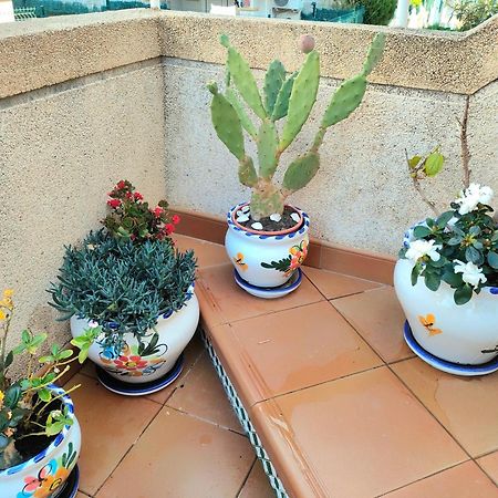 Casa De Buenos Dias Apartment Torrevieja Ngoại thất bức ảnh