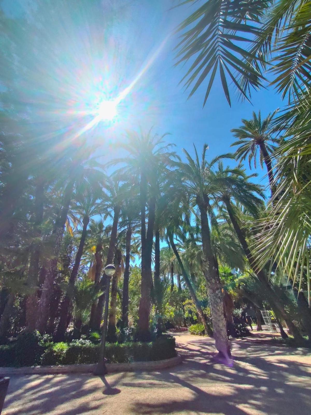 Casa De Buenos Dias Apartment Torrevieja Ngoại thất bức ảnh