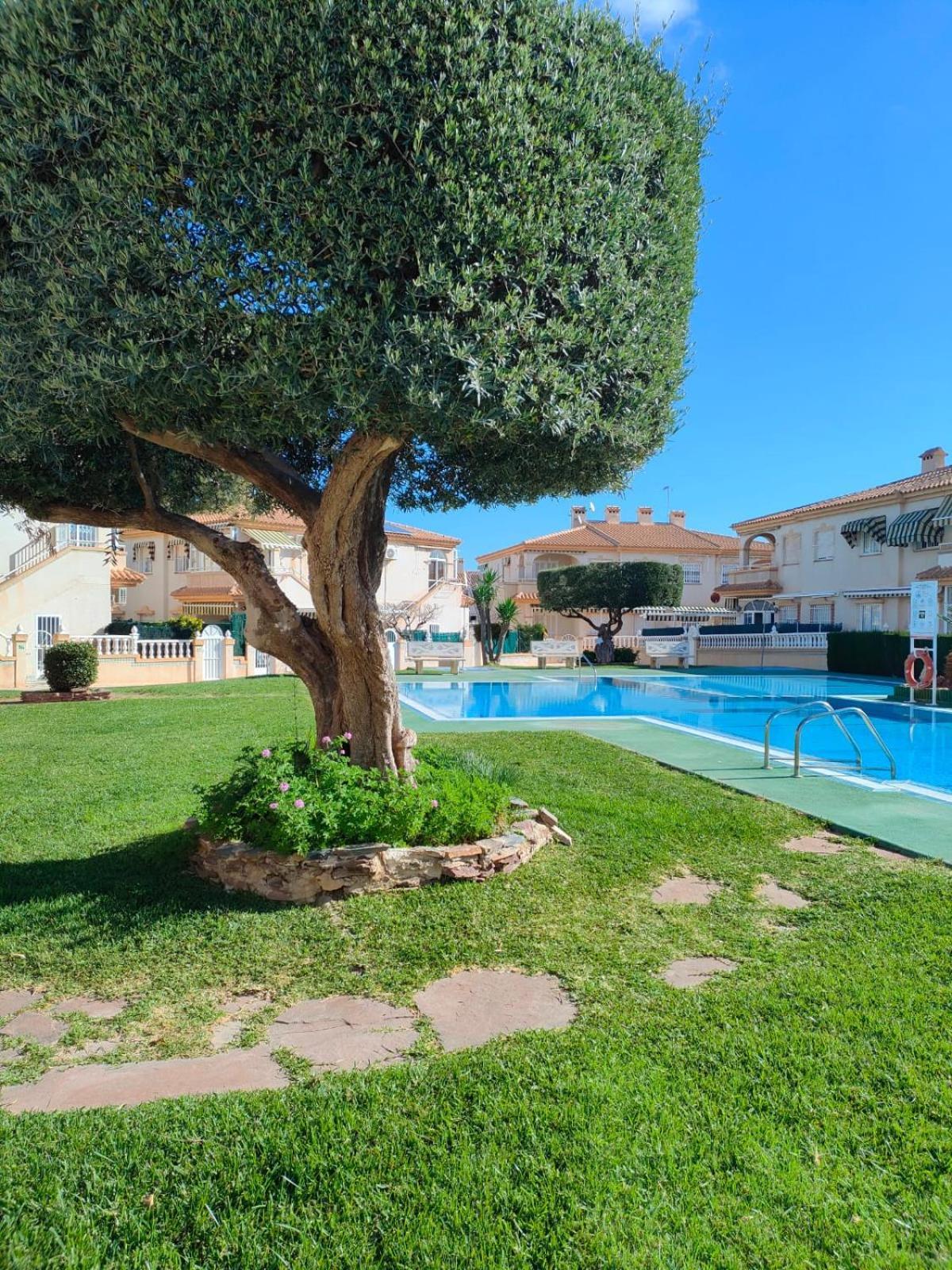 Casa De Buenos Dias Apartment Torrevieja Ngoại thất bức ảnh